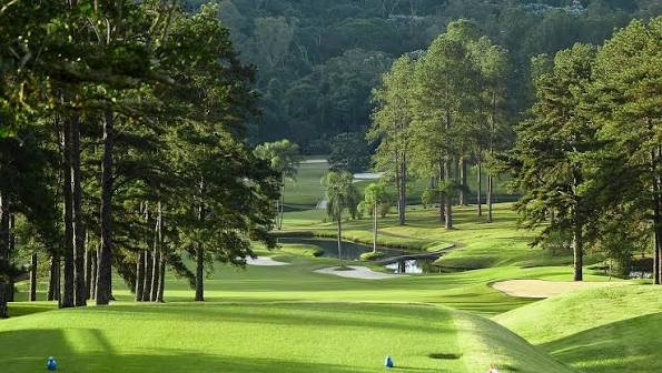 Golf Pro Tour